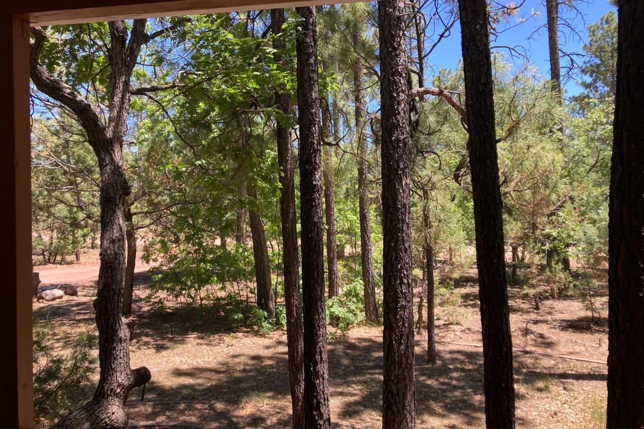 Tranquil Pines Retreat Βίλα Pinetop-Lakeside Εξωτερικό φωτογραφία